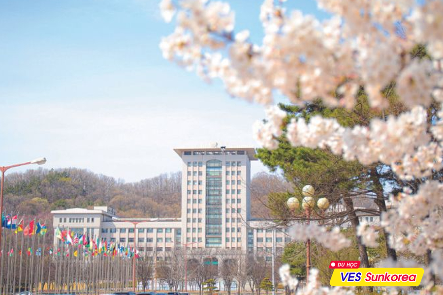 Đại học Sunmoon Hàn Quốc - Zila (5)